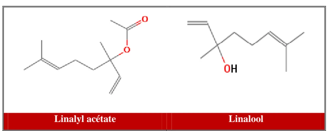 Figure 24. Structure chimique des composés majoritaires de l’HE de l’O. basilicum. 