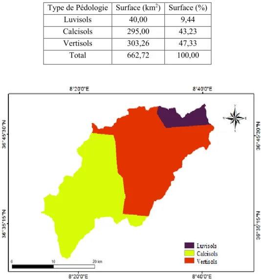 Tableau 5.  Répartition de la couverture végétale dans le bassin versant étudié . 