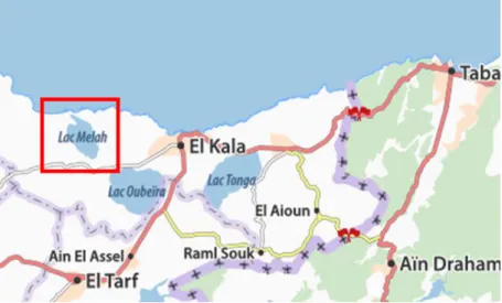 Figure 4. Localisation géographique de la zone d'échantillonnage: la lagune El-
