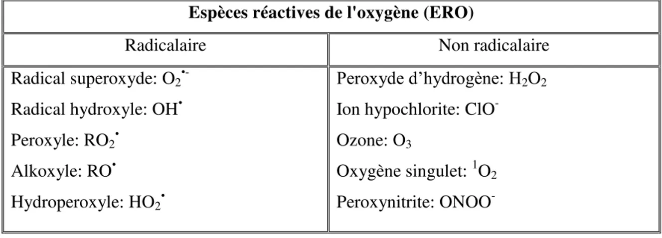 Tableau 1:  Principales ERO radicalaires et non-radicalaires (Halliwell et Whiteman, 2004)   Espèces réactives de l'oxygène (ERO)