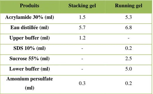 Tableau 2. Composition des gels (Running gel, Staking gel). Produits  Stacking gel  Running gel 