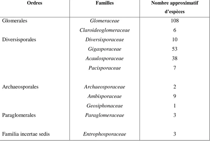 Tableau 5 : Classification des Gloméromycota (Redecker &amp; Schüßler, 2014) 