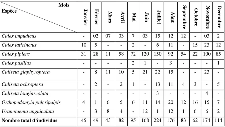 Tableau 11: Richesse totale mensuelle des Culicidae au niveau du site urbain. 