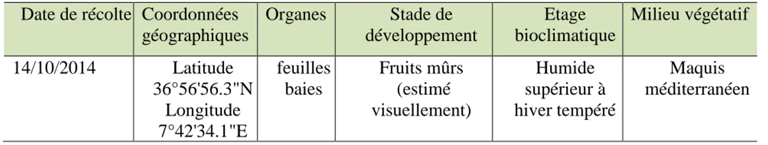 Tableau 4 : Récapitulatif des conditions de récoltes de C.humilis  Date de récolte  Coordonnées 