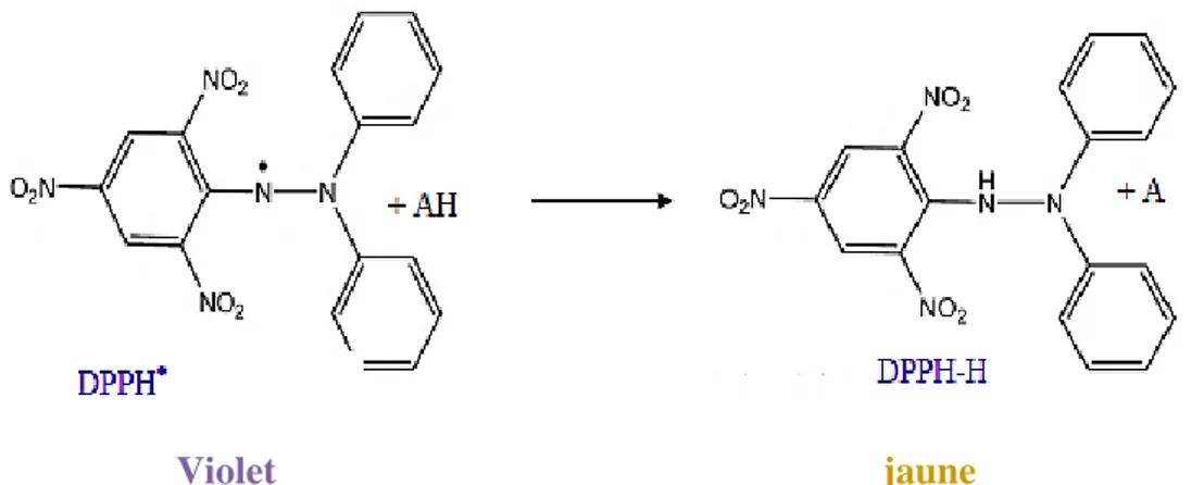 Figure 27 : Mécanisme réactionnel du test DPPH entre l’espèce radicalaire DPPH •  et un  antioxydant (AH) (Ghnimi , 2015) 