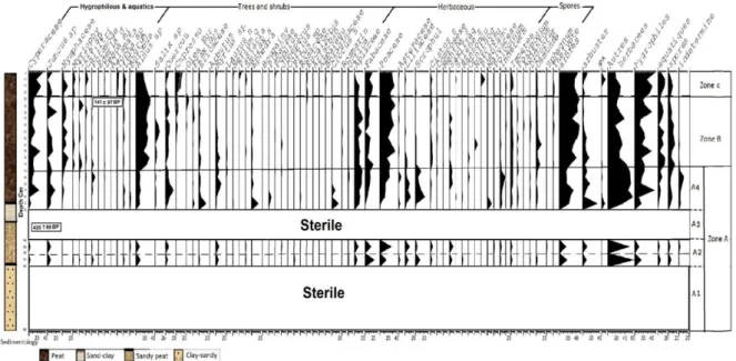 Fig. 2. Pollen diagram of Alder Ain Khiar. 