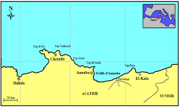 Figure 03 : Localisation du golfe d'Annaba (Derbal et al., 2007).  