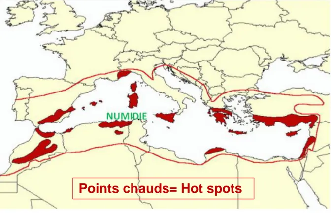 Figure 3. Points chauds Méditerranéens de biodiversité (Médail et Quézel (2003), modifiée  par Belouahem, 2012) 