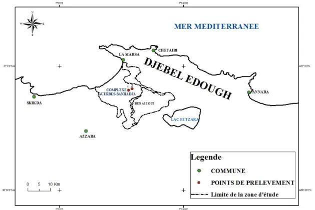 Figure 4. Situation géographique du complexe de zones humides de Guerbès-Senhadja (Ghit  Karima) 