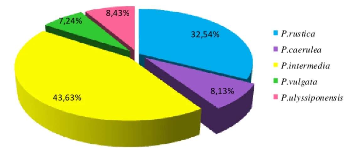 Figure 35.Dominance des différentes espèces de Patelles en période estivale à Toche. 