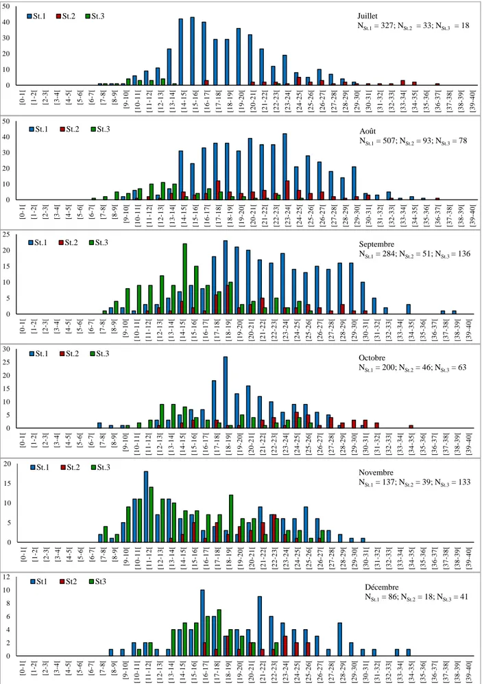 Figure  41.  Distribution  des  fréquences  de  tailles  chez  Patella  rustica  dans  les  stations 