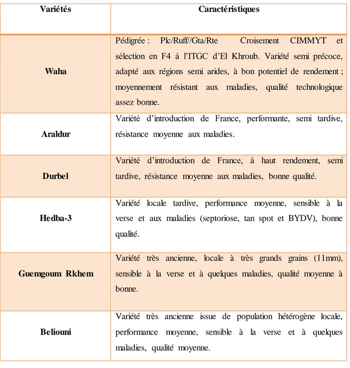 Tableau  1 : Les variétés  étudiées  et leurs  caractéristiques 
