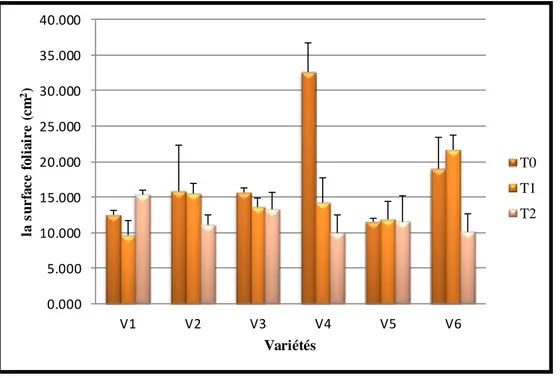 Fig 31: Variation  de la  surface  foliaire  sous  l’effet  du stress hydrique 