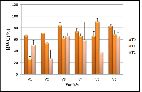 Fig 32 : Variation de la teneur relative en eau  sous l’effet stress hydrique 
