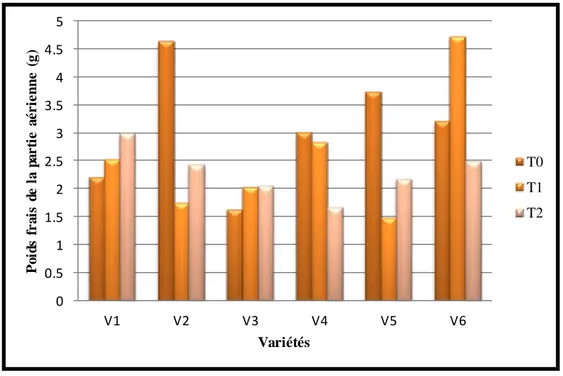 Fig 34 : Biomasse  du poids  de la  partie  aérienne  (matière  fraîche)  en fonction  du stress  hydrique  des six  variétés  exprimée  en gramme  (g)