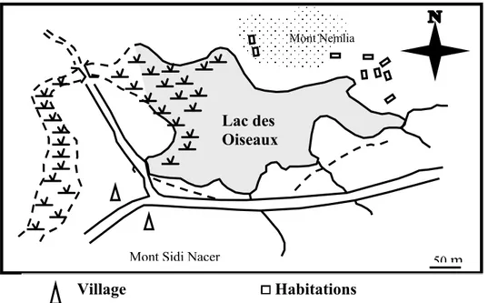 Fig. 4 : Situation géographique du lac des Oiseaux (HOUHAMDI, 1998) 3.1.3. Pédologie
