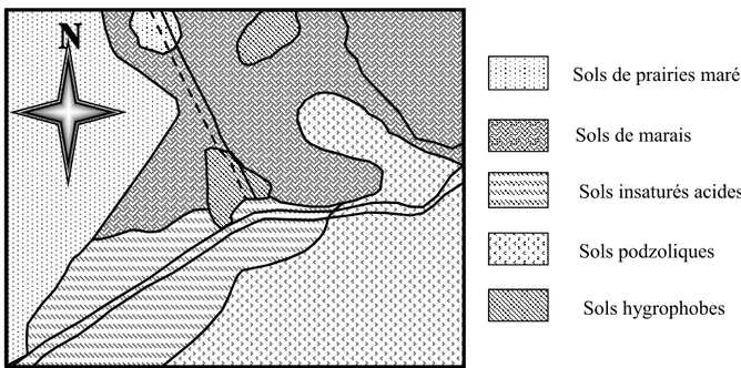 Fig. 5: Carte des sols du Lac des Oiseaux (JOLEAUD, 1936). 3.1.4. Géologie