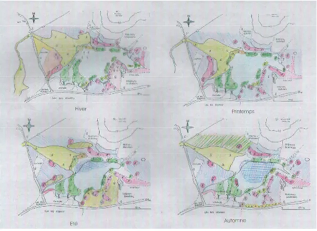 Fig. 8 : Cartographie de la végétation du Lac des Oiseaux (in HOUHAMDI, 2002)