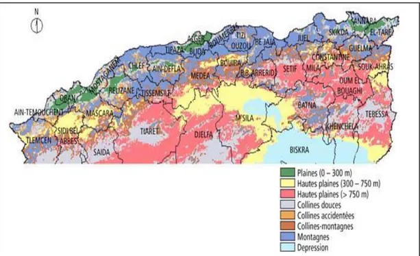 Figure 13 : Classification morphologique du nord de l'Algérie (FAO, 2005) 
