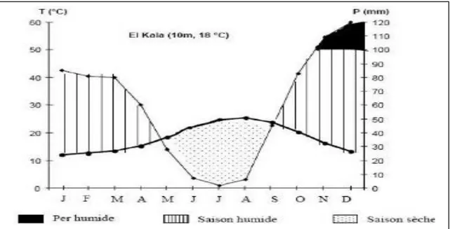 Figure 18 : Diagramme pluviothermique statio n d’El kala 