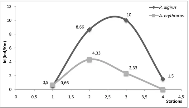 Figure 23.  Variation de l’indice de densité des deux espèces au niveau des 4 stations