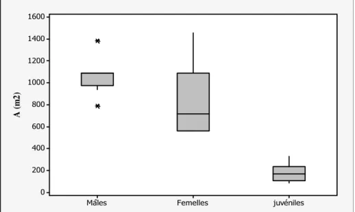 Figure 26. Différence dans la taille du domaine vital par sexes et âges chez P. algirus
