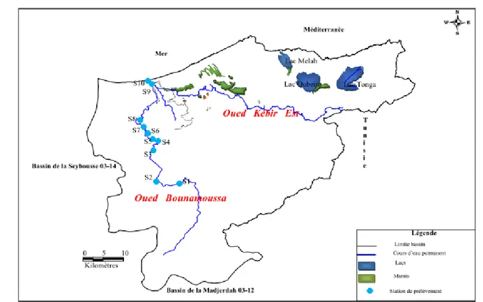 Tableau 12 : localisation des stations étudiées au niveau de l’oued Bounamoussa 