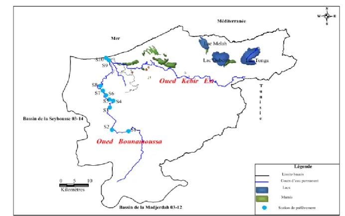 Tableau 12 : localisation des stations étudiées au niveau de l’oued Bounamoussa 