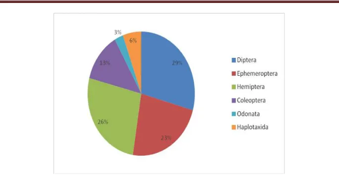 Figure 27 : Prévalence (%)  des  différents taxons observés au niveau de Hjar El Ouassâa3 