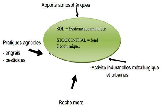 Figure 01 : Origine des métaux lourds dans le sol (Slatni, 2014) 