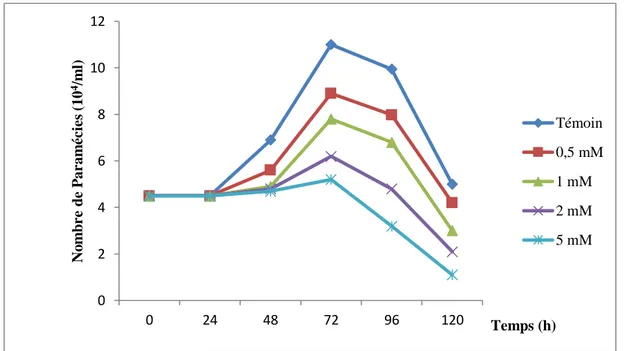 Figure 05 : Effets des concentrations croissantes de Cd sur la cinétique de  croissance chez Paramecium sp