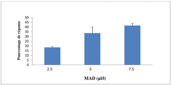 Figure 07 : Effets des concentrations croissantes du MAD  sur le pourcentage de  réponse chez Paramecium sp