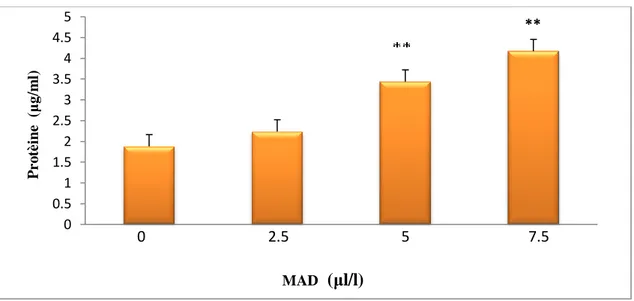 Figure 10 : Effets des concentrations croissantes de MAD sur le taux des protéines  totales chez Paramecium sp