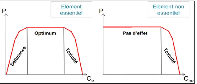 Figure 2.  Relations entre performance (P) (croissance, fécondité, survie, autres  paramètres de santé…) et concentrations en élément essentiel (Ce) ou non-essentiel 