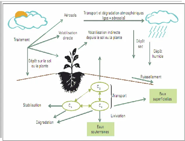 Figure 2.  Principaux processus impliqués dans les transferts des pesticides et leur dispersion dans 