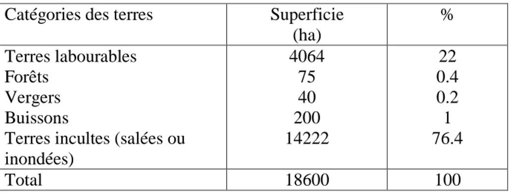 Tableau 3. Distribution des terres agricoles du lac Fetzara (AJCI, 1985). 