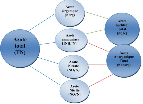 Fig 2: Un organigramme présentant les formes de l’azote.  1.2.2.  L’ion nitrate 