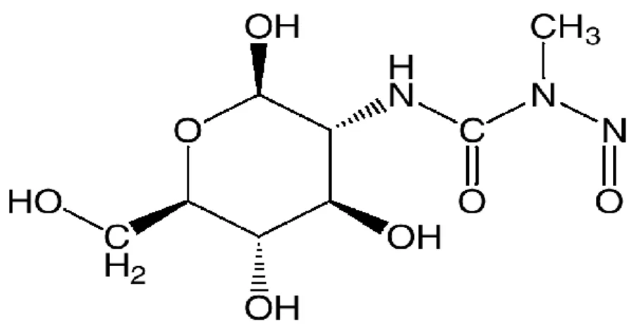 Figure 05: Structure chimique de la streptozotocine (White F R., 1963). 