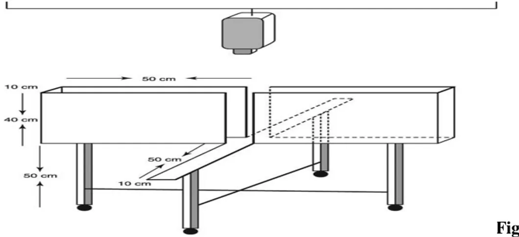 Figure 09: Illustration 