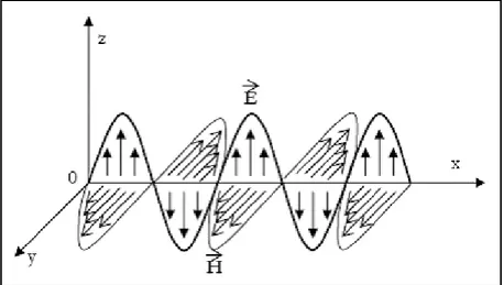 Figure 1 : Représentation des champs constitutifs d'une onde électromagnétique (cas 
