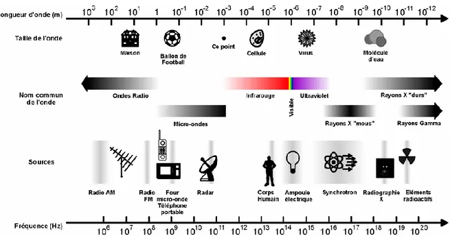 Figure 2 : Illustration du spectre électromagnétique (Crouzier, 2006). 