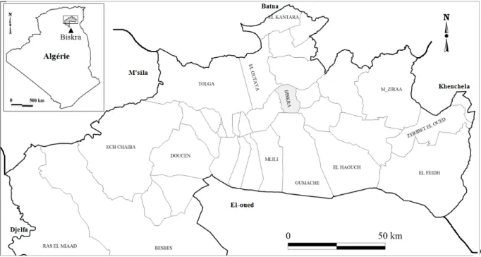 Figure 1: Situation géographique de la wilaya de Biskra. 