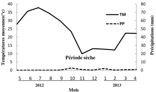 Figure 7: Diagramme Ombrothermique de Gaussen de la période d’étude (Mai 2012-Avril  2013), de la région de Biskra