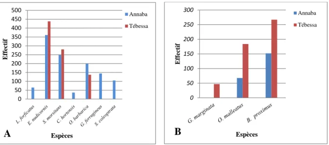 Figure 24: Distribution des espèces de Chilopodes (A) et de Diplopodes (B) dans les deux  sites d’étude