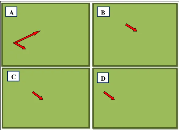 Figure 3.   Dégâts causés par T.absoluta. A: feuilles; B: tiges; C: calice du fruit vert; D: fruit 