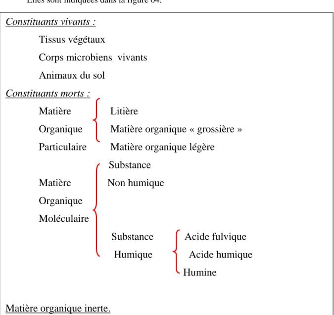 Fig. 04 : les constituants organiques du sol, (Calvet, 2003) 
