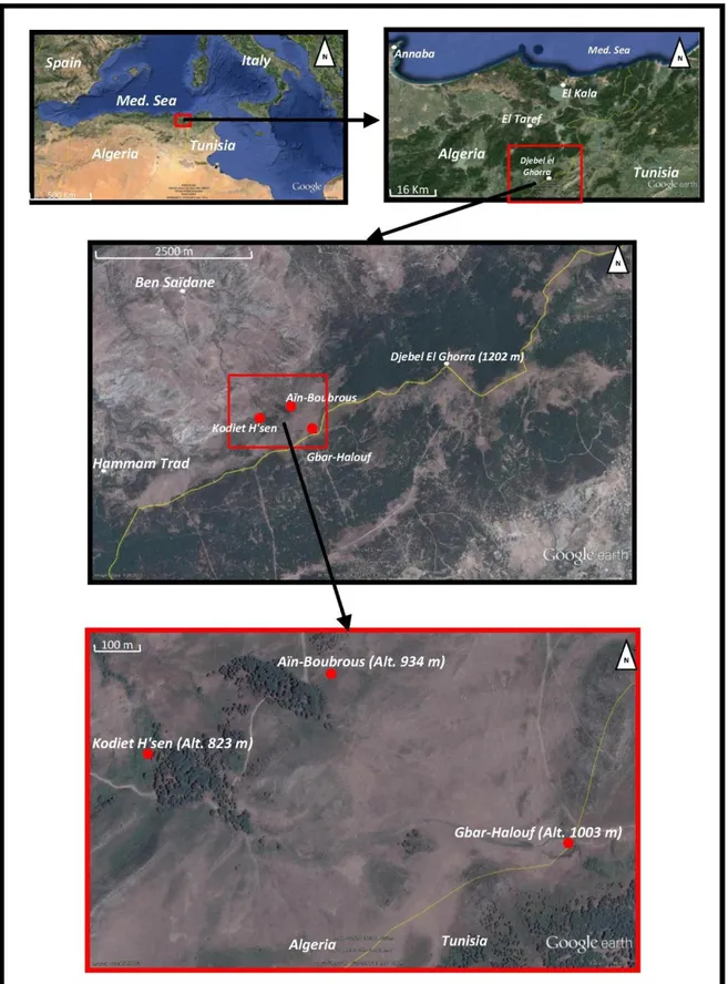 Figure 4 : Localisation des sites d'étude au niveau du Djebel El-Ghorra 