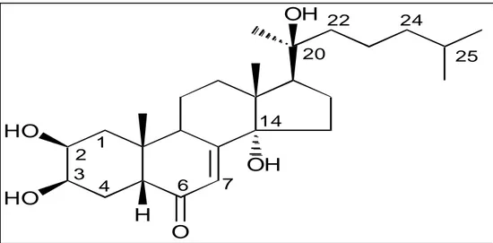 Figure 6. Structure chimique de la 20-hydroxyecdysone.   Photo : www.researchgate.net 