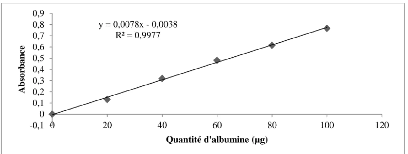 Figure  10.  Dosage  des  protéines  dans  le  corps  gras :  droite  étalon  exprimant  l’absorbance            à 595 nm en fonction de la quantité d’albumine (µg)