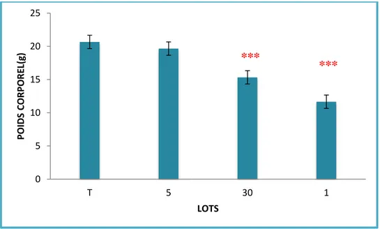 Figure 8: Variation du poids corporel (g) chez le lot témoin et les lots stressés par séparation